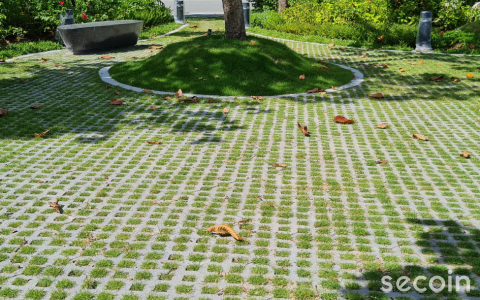 10 gợi ý sử dụng gạch trồng cỏ để tạo không gian xanh